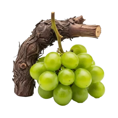 Imagen PNG para descargar